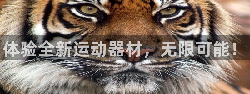 emc易倍体育官方正版app代理