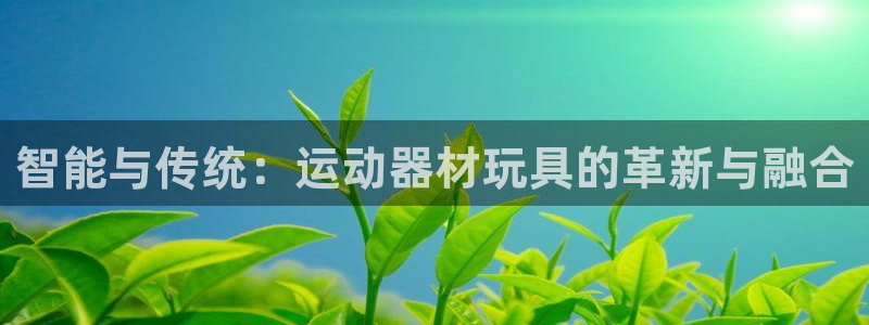 emc易倍体育官网下载开户：智能与传统：运动器材玩具的革新与