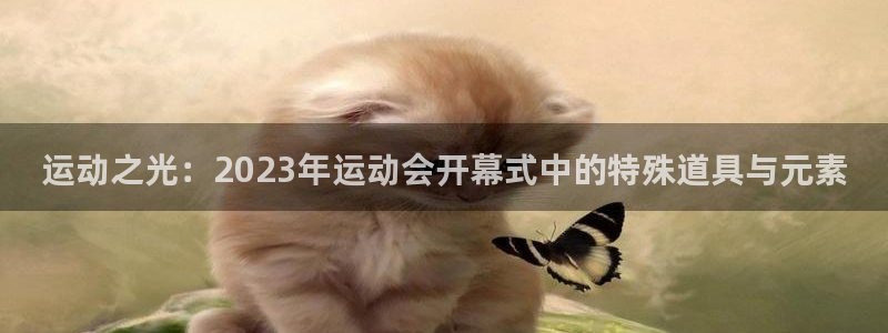 emc易倍体育官网下载平台注册要钱吗：运动之光：2023年运