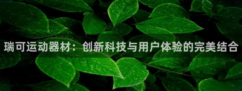 emc易倍体育官方正版app娱乐网站：瑞可运动器材：