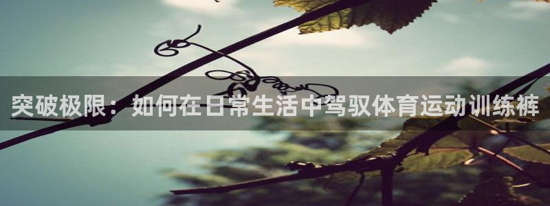 必一运动官网：突破极限：如何在日常生活中驾驭体育运动训练裤