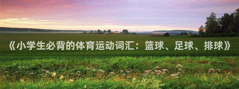 必一运动官网入口：《小学生必背的体育运动词汇：篮球、足球、排球》