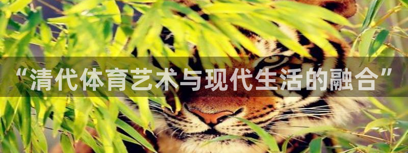 必一运动app：“清代体育艺术与现代生活的融合”