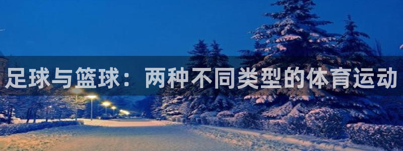 必一运动体育：足球与篮球：两种不同类型的体育运动