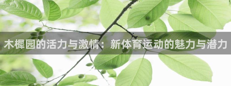 bsport必一运动：木樨园的活力与激情：新体育运动的魅力与潜力