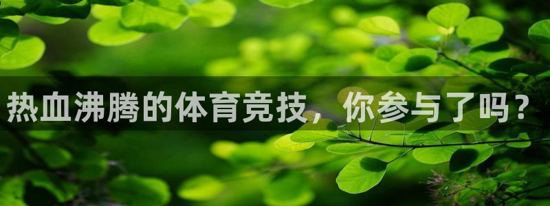 必一运动：热血沸腾的体育竞技，你参与了吗？