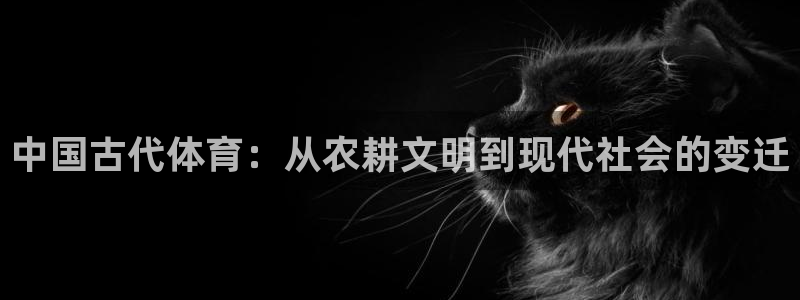 bsports必一运动：中国古代体育：从农耕文明到现代社会的变迁