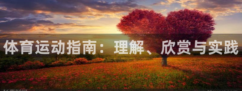 必一运动官网：体育运动指南：理解、欣赏与实践