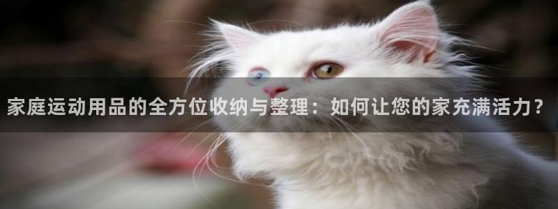 emc易倍体育官网下载平台注册要钱吗：家庭运动用品的全方位收